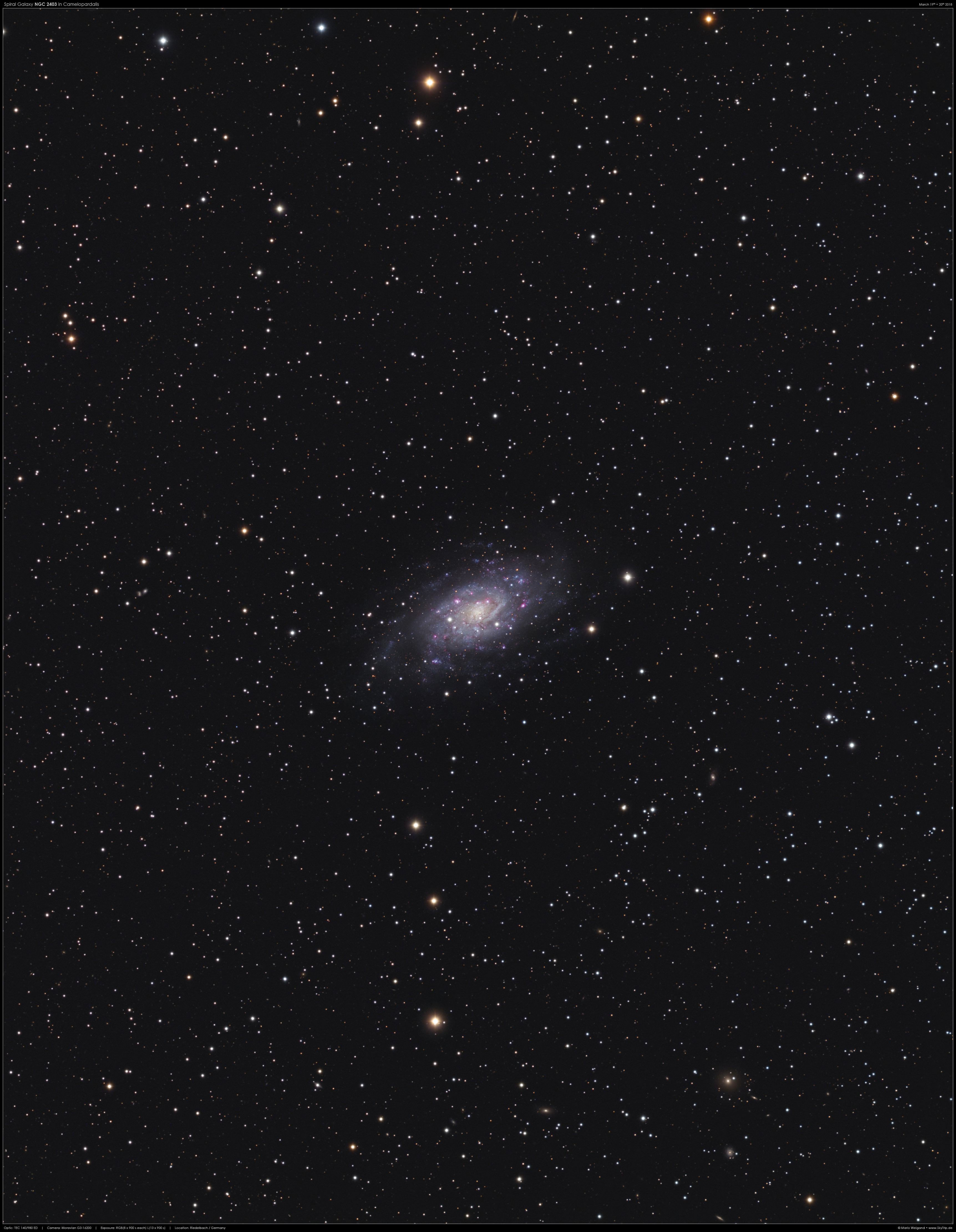 NGC 2403 in der Giraffe