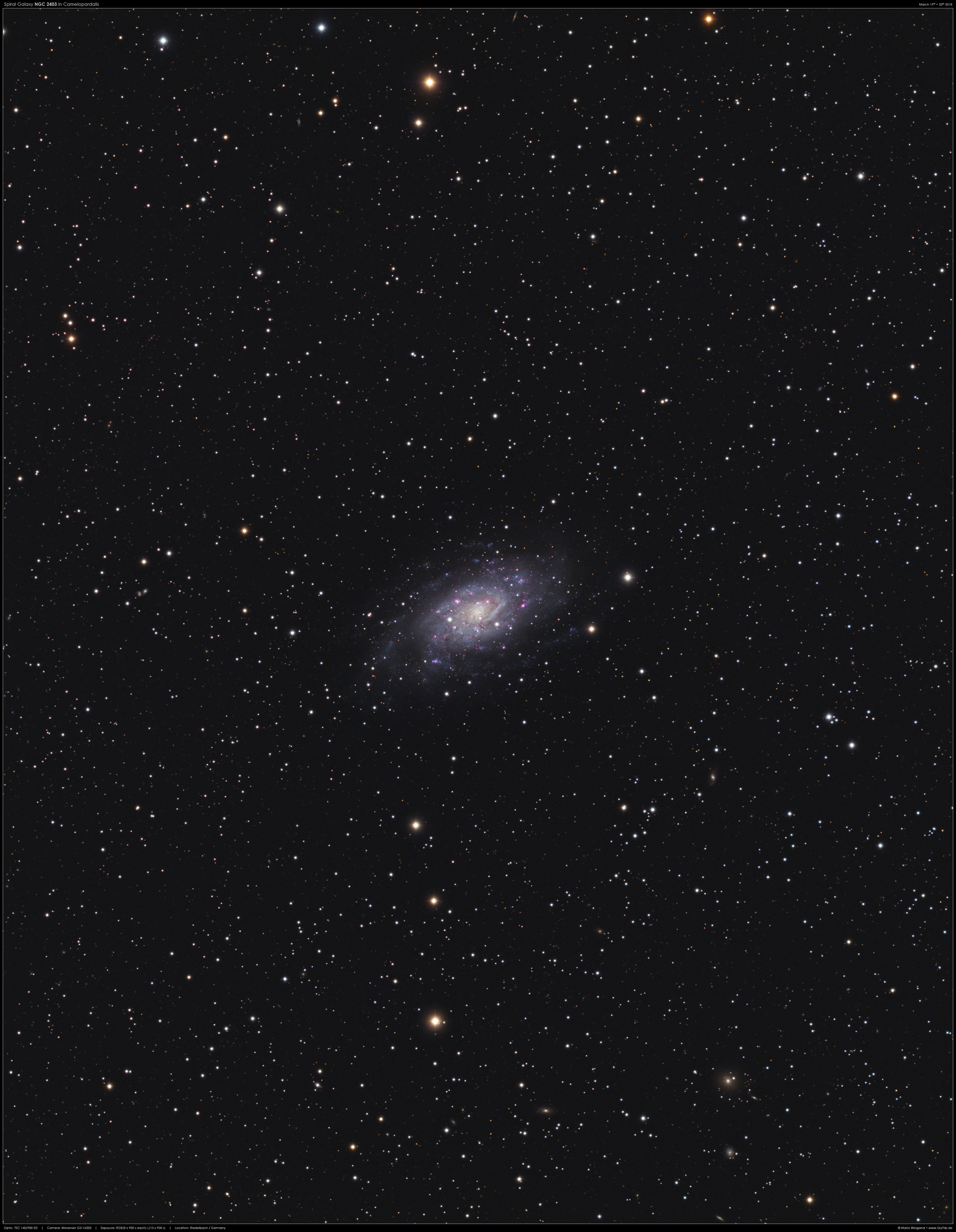 NGC 2403 in der Giraffe