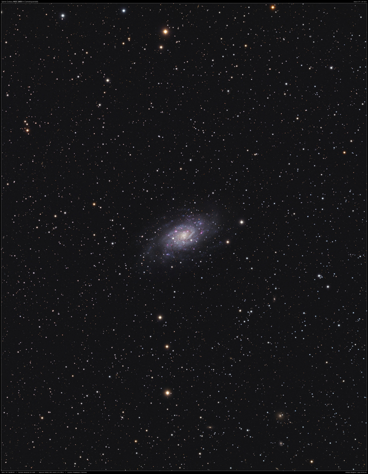 NGC 2403 in der Giraffe