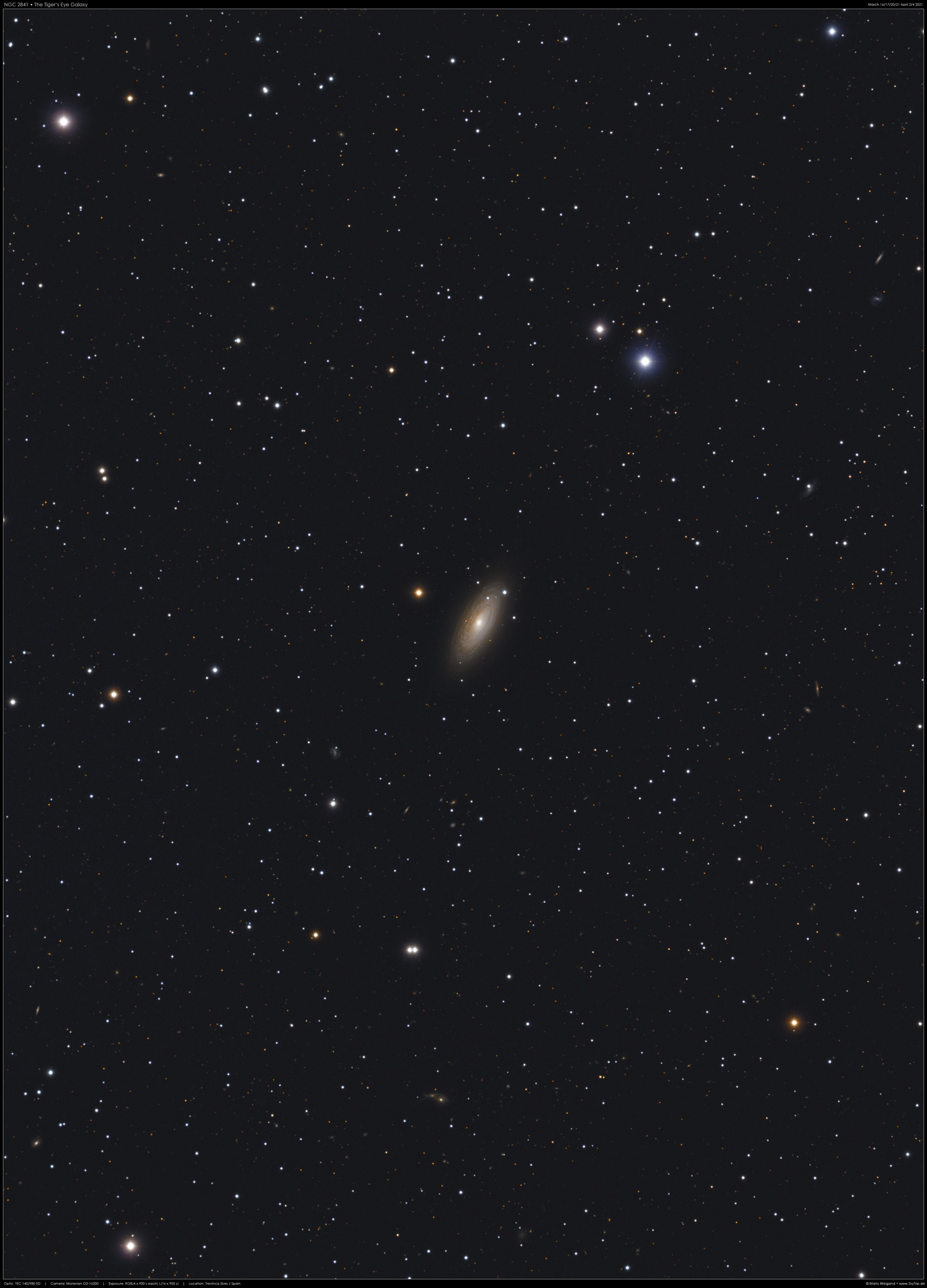 Tigeraugen-Galaxie NGC 2841