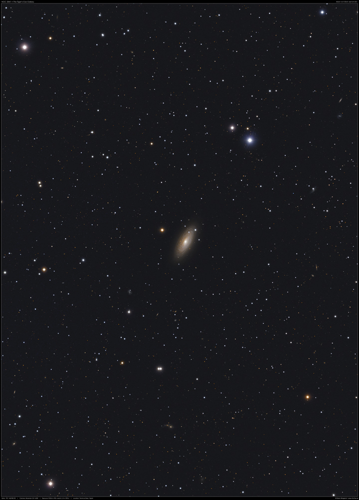 Tigeraugen-Galaxie NGC 2841