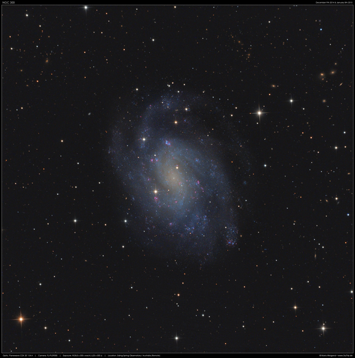 NGC 300 im Sternbild Bildhauer