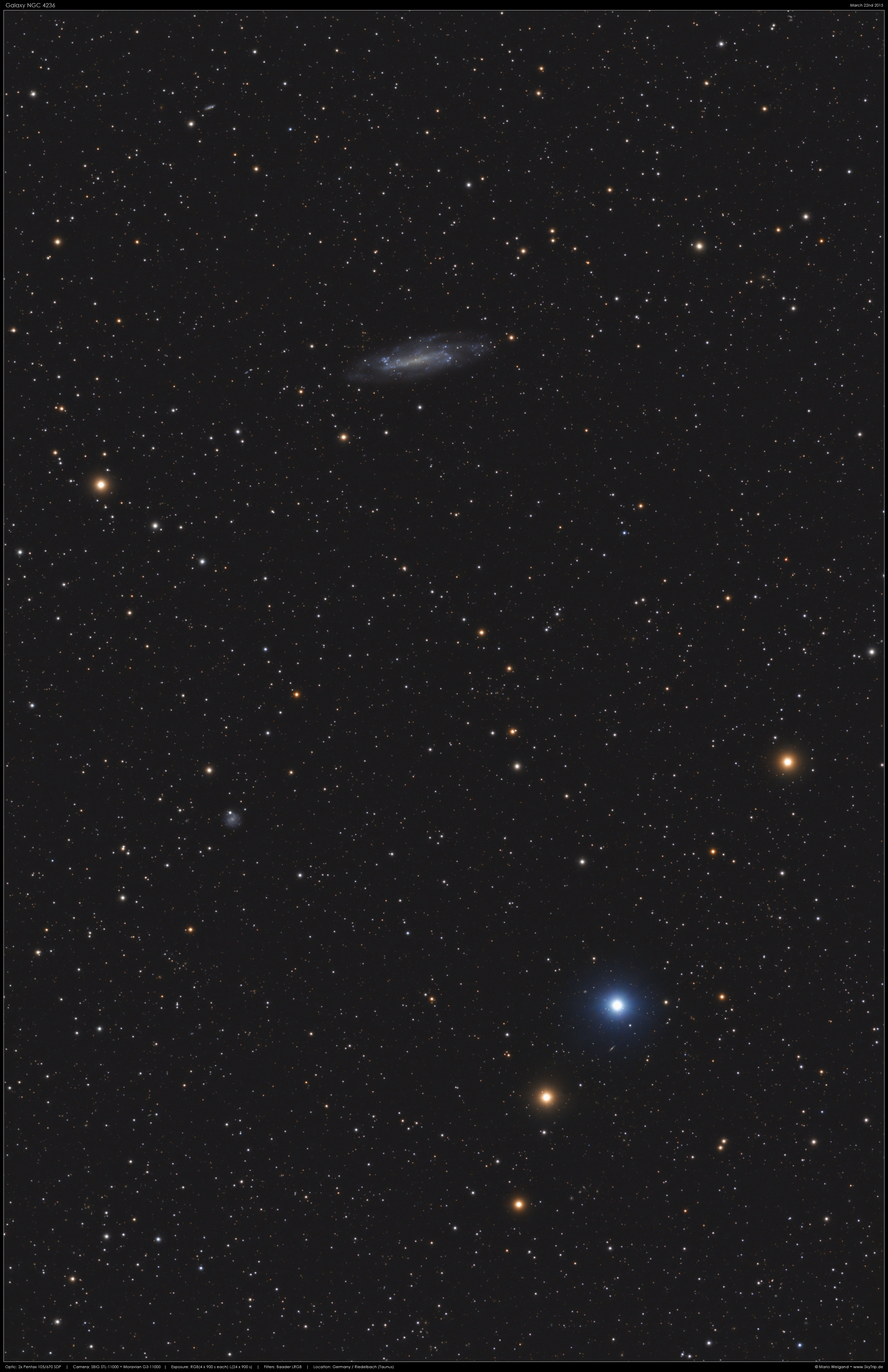 Spiralgalaxie NGC 4236 im Sternbild Drache