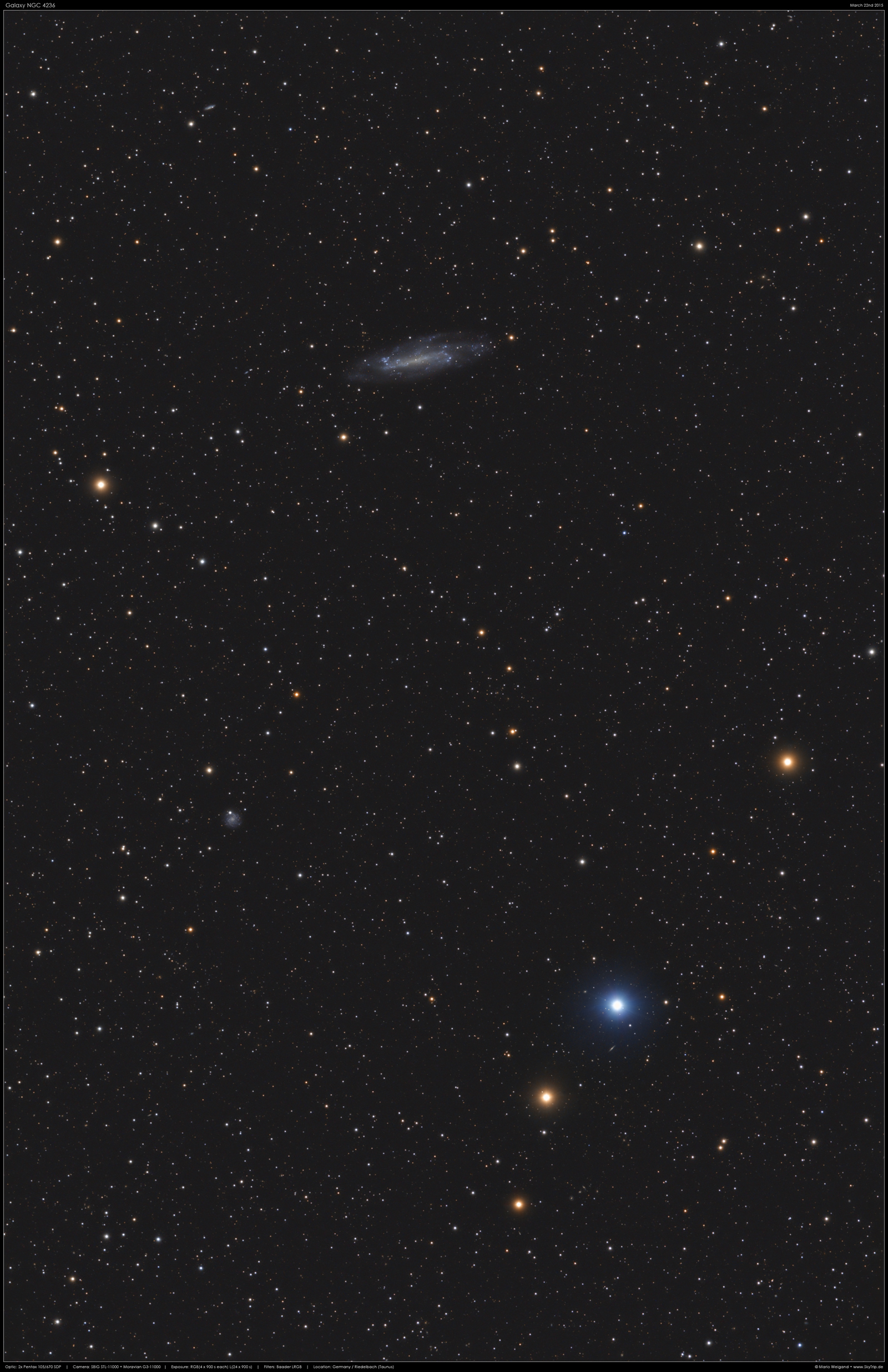 Spiralgalaxie NGC 4236 im Sternbild Drache