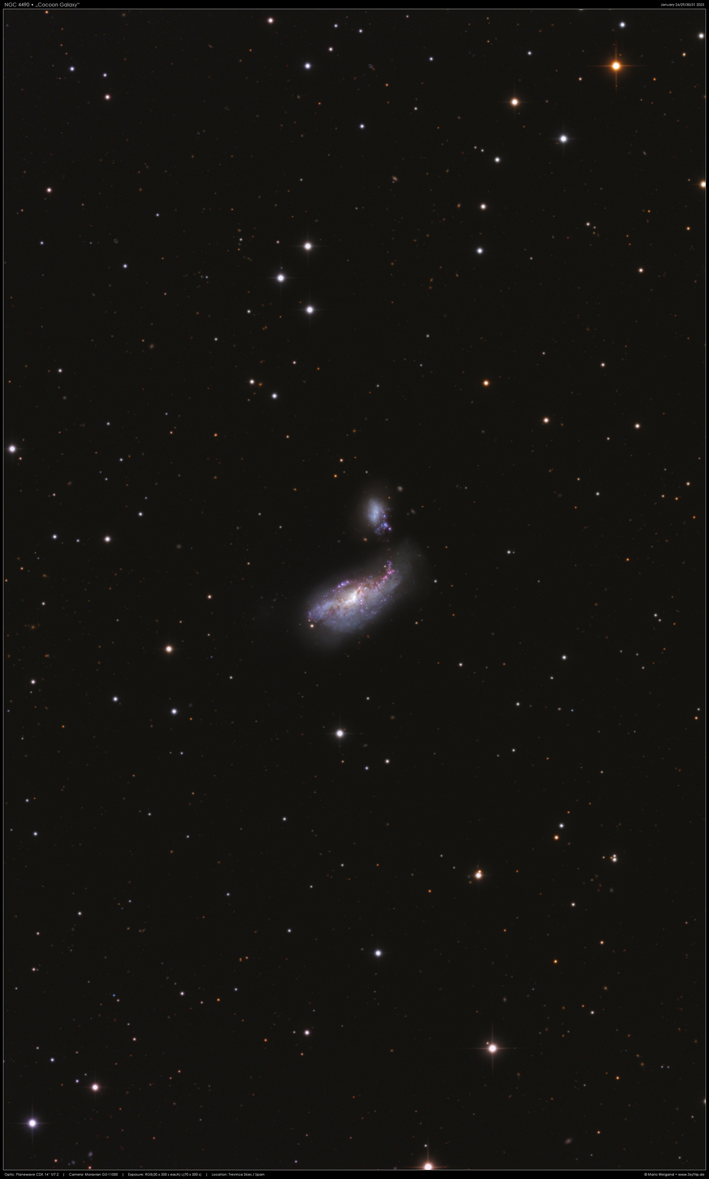 Kokon-Galaxie NGC 4490