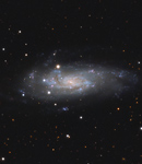 Koi Fish Galaxy NGC 4559