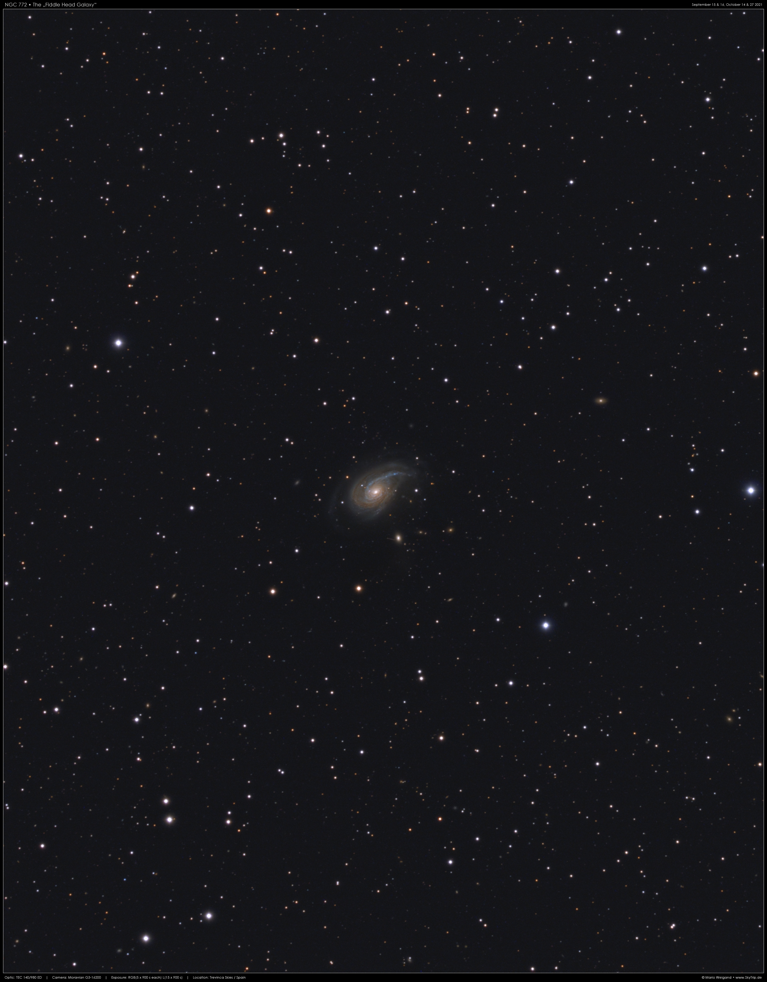 Fiddle Head Galaxy NGC 772