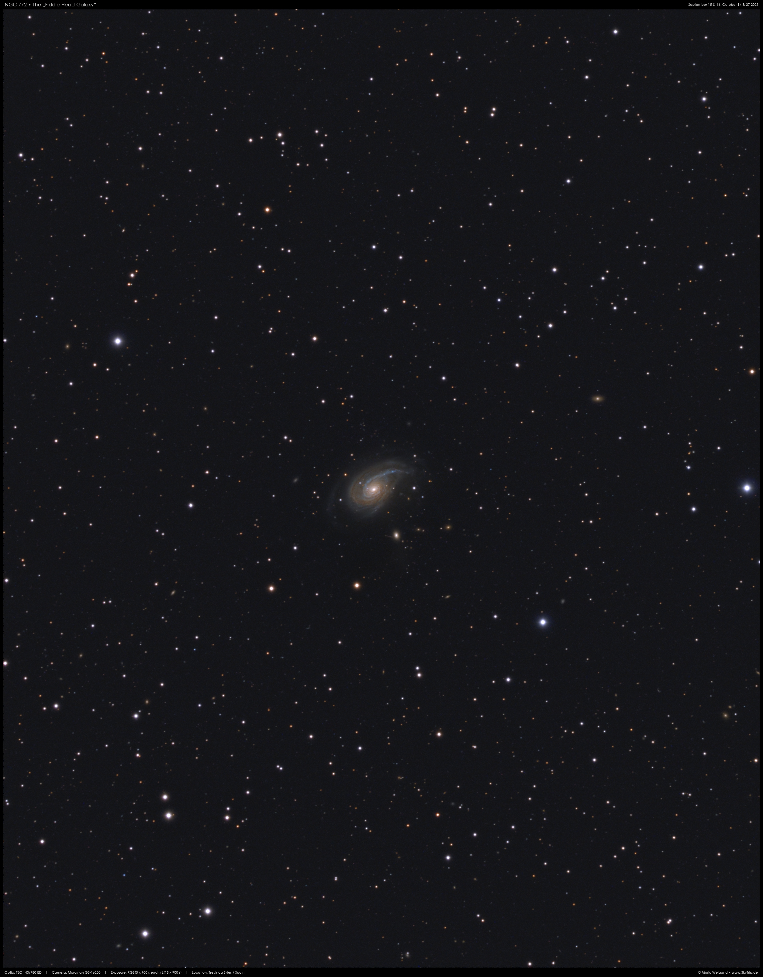 Fiddle Head Galaxy NGC 772