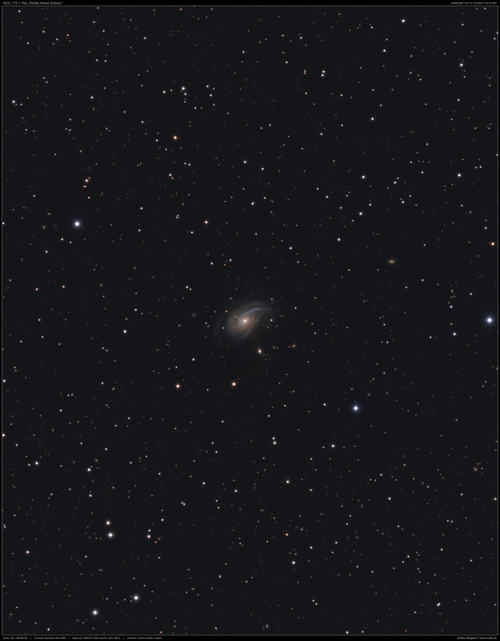 Fiddle Head Galaxy NGC 772