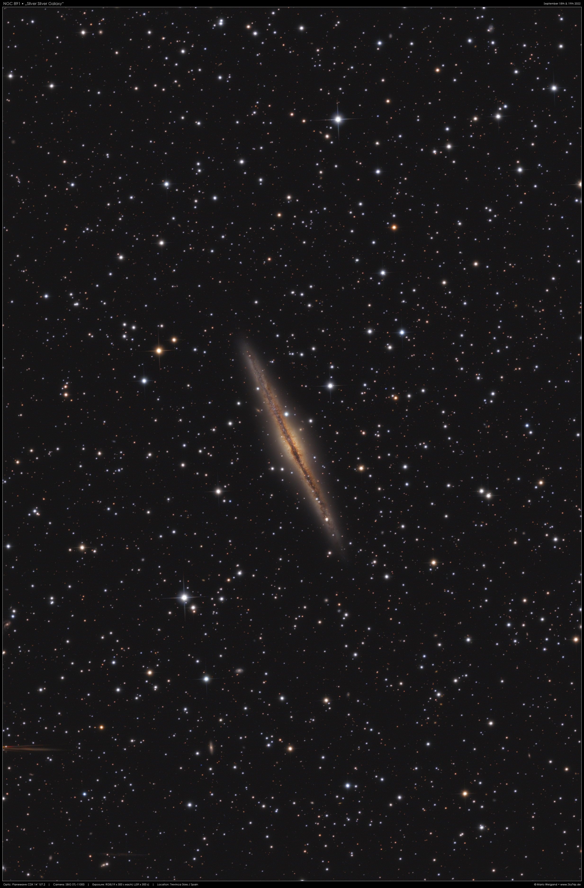 Die Galaxie NGC 891