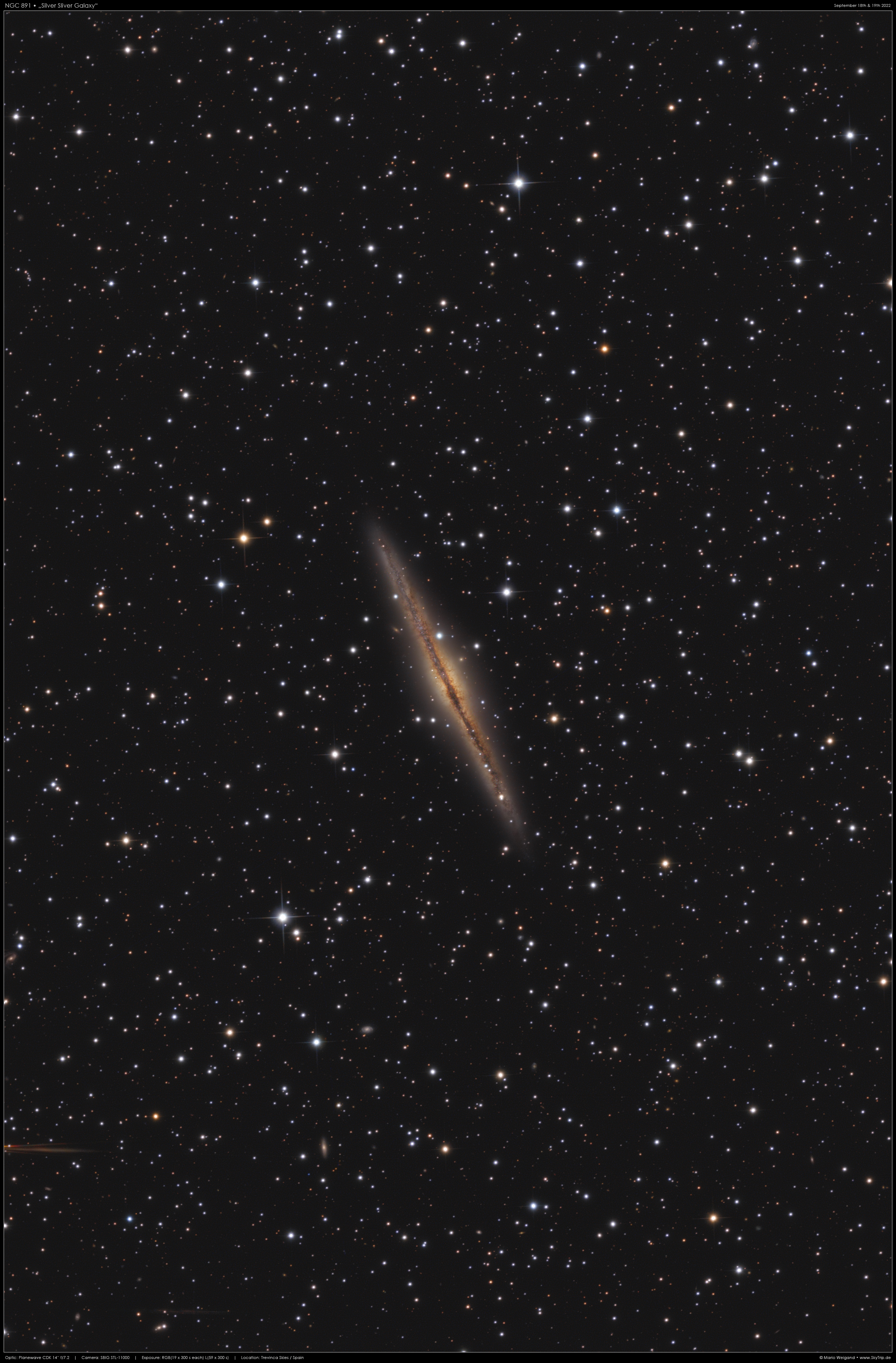 Die Galaxie NGC 891