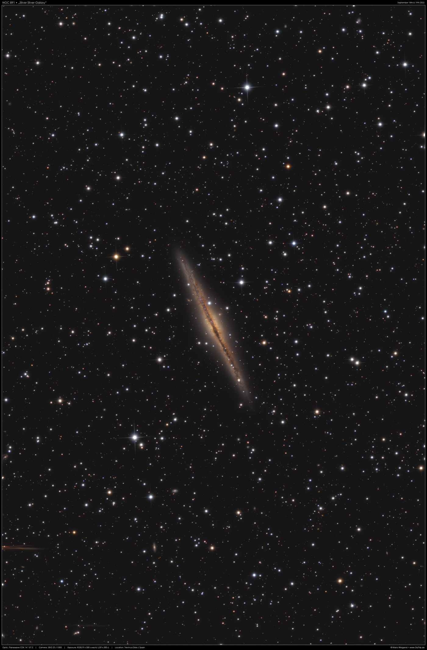Die Galaxie NGC 891