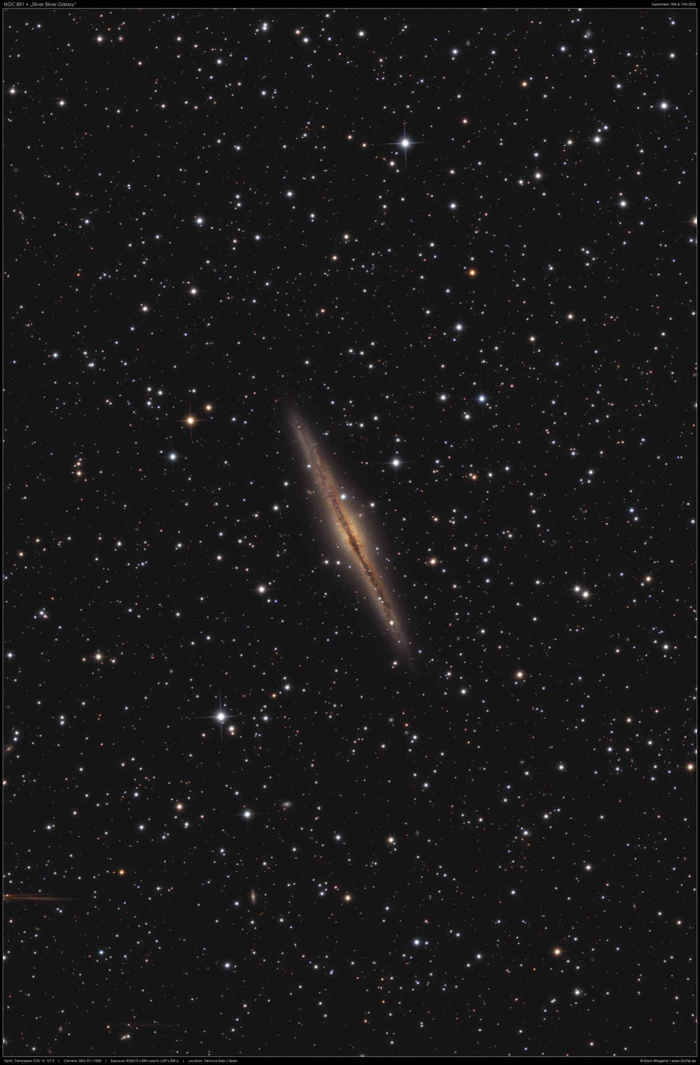 Die Galaxie NGC 891