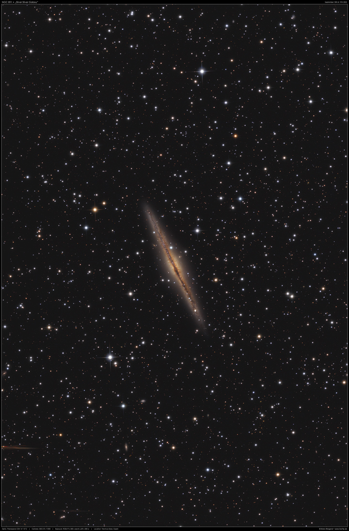 Die Galaxie NGC 891