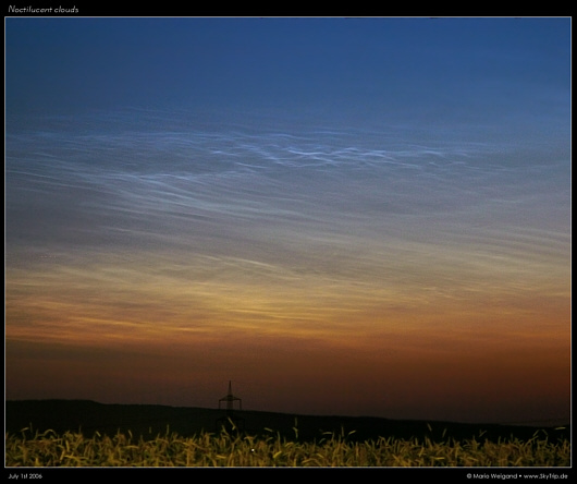 Nachtleuchtende Wolken ber Weizenfeldern am 1. Juli 2007