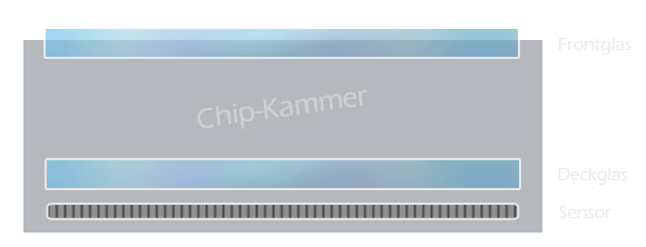 Prinzipieller Aufbau einer Chip-Kammer mit Sensor, Chip-Deckglas und Kammer-Frontglas
