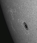 Sonnenfleck NOAA 11084