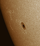 Sonnenfleck NOAA 11084 eingefärbt