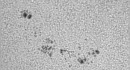 Sonnenfleckengruppe NOAA 10767